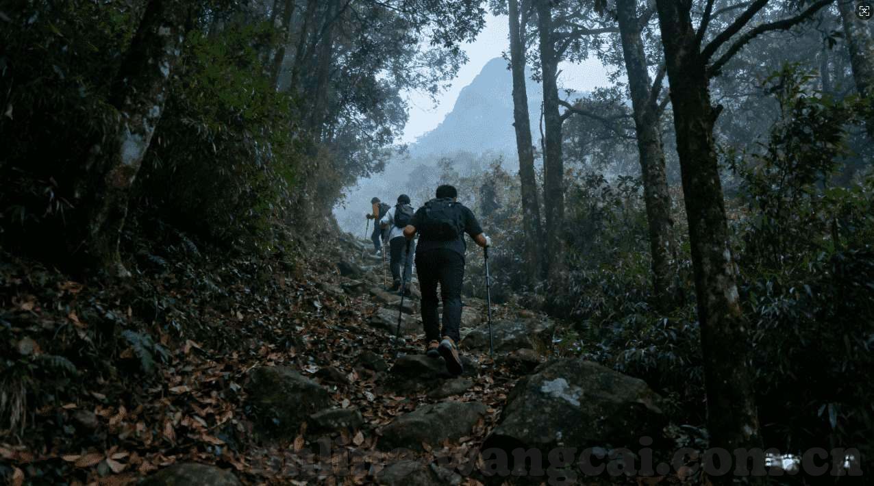 德州扑克打法-德州扑克打法，策略与技巧的深度剖析